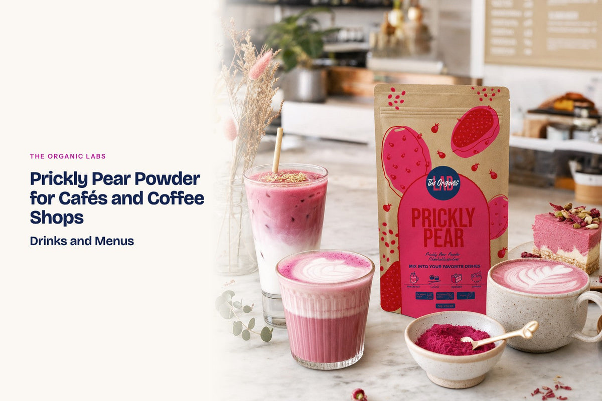 Prickly pear powder pack with hot and iced lattes on a café counter