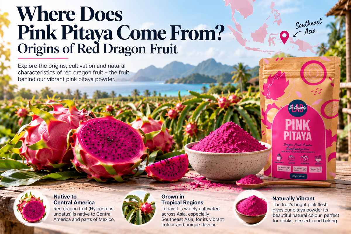 Where Pink Pitaya comes from – origins and cultivation of red dragon fruit used to make vibrant pink pitaya powder